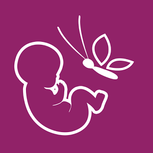 Babybump Pregnancy - The Virtual Babysitter To Your Unborn Child